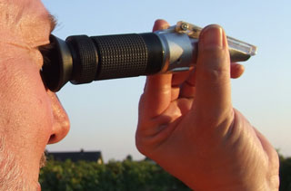 WinzerMitRefraktometer_2.jpg WinzerMitRefraktometer_2.jpg